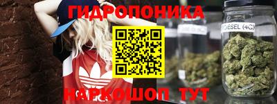 ешки Ставрополь
