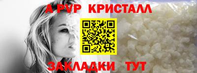 ешки Ставрополь